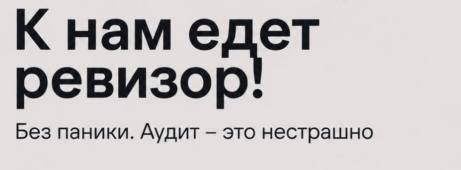 Инициативный аудит: как проверить бизнес, снизить финансовые риски и защитить активы.