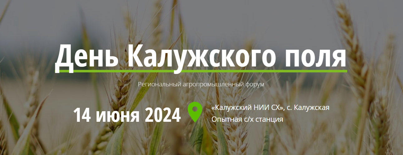 День Калужского поля 2024