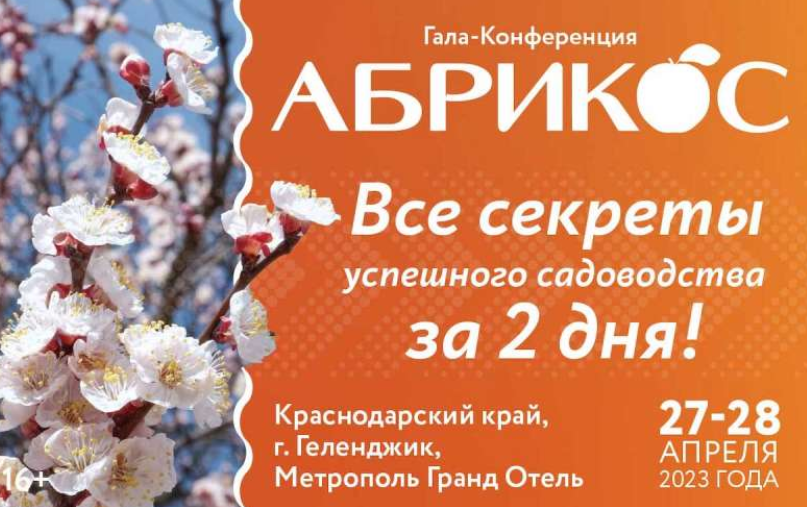Гала-конференция «Абрикос»